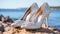 The wedding shoes of the bride stand on a stone against the background of the blue sea