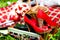 Wedding shoes red and retro player