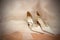 Wedding shoes on White bridal dress.