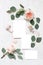 Wedding stationery, birthday mock-up scene. Blank greeting cards, silk ribbons, eucalyptus leaves and blush pink English