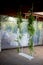 Wedding swing decorated with flowers hanging on the branches of the willow