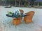 Wedding table on beach