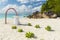 Wedding on the tropical beach in Seychelles