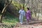 Wedding walk true love elderly couple blooming magnolia garden