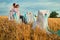 Wedding on the wheat field