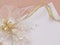 Weddings accessorie a buttonhole