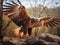 Wedge Tail Eagle  Made With Generative AI illustration