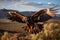 wedge-tailed eagle flying high in the sky, ai generated