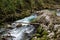 Wedged tree trunks in Radovna river, Vintgar gorge in Slovenia