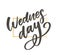 Wednesday words. Quote design. Hand drawn ink lettering. Sticker for social media content. Modern brush calligraphy. Can