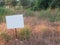 Weed-covered field with white blank metallic sign. Mock-up for sale announcement with copy space