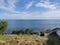 Weed field view and seascape