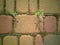 Weed grows between paving tiles. Moss and green weeds in the paving slabs on the walkway