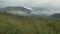 Weeds Blowing in Wind and Mountains