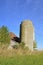 Weeds, brush, and long grass surround old barn