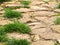 Weeds growing between natural paving stones. Garden path. Close-up. Background