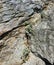 Weeds Growing in Rock Face Crevice