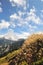 Weeds in the wind backgrounded with layered mountains