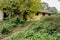 Weedy hillside trail before abandoned 1960s` dwelling building