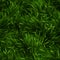 Weedy Lawn Grass Texture Pattern