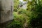 Weedy trail outside abandoned 1960s` brick buildings