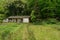 Weedy trail to aged farmhouse in woods