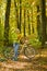 Weekend activity. Active leisure and lifestyle. Girl ride bicycle for fun. Blonde enjoy relax forest. Autumn bouquet