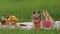 Weekend at picnic. Girl on grass meadow play online games on mobile phone. Social network, chatting