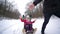 Weekend, young parent carries sled with happy kids in snowy forest