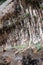 Weeping Rock in Zion National Park