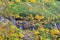 Weeping rocks with autumn foilage on the side of a mountain !