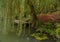 Weeping Willow Over the Deck on the Pond