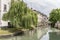 weeping willow tree and old houses on canal, Treviso, Italy