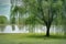 Weeping Willow Tree on a Small Pond