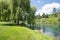 Weeping willow tree  Waikato River with view to native bush clad riverbank and hill on other side