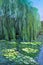 Weeping Willow tree and Water Lilies
