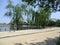 Weeping Willow Trees On The Edge Of A Lake In Seoul, South Korea