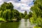 Weeping willow trees and a pond in the Boston Public Garden.