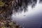 Weeping willows over the river