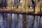 Weeping willows over the river