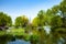 The weeping willows in the park and lake are full of spring