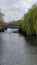 Weeping Willows and Whitefriars Bridge, River Wensum, Norwich, Norfolk, England