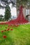 The Weeping Window of poppies