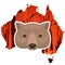 Weeping wombat icon on a Australia map outline background with a burning forest. Cartoon vector illustration