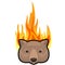 Weeping wombat icon on fire background. Cartoon vector illustration