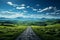 The weight of decisions, fork in road, grass, blue sky, expansive horizon