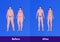 Before and after weight loss concept. Vector flat person illustration. Couple of woman and man with overweight body and normal