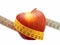 Weight loss and healthy dieting concept red apple measuring tape isolated