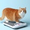 Weight monitoring concept. Overweight cat standing on weight scales. ai generative