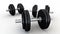 Weightlifting weights